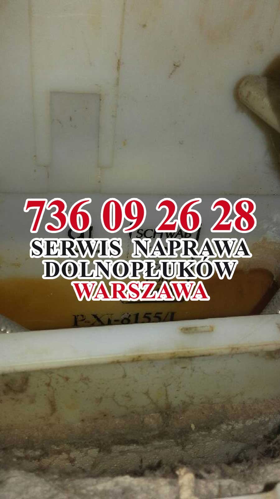 dywizjonu ak jeleń